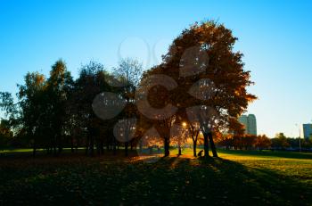 Lonely woman at autumn park landscape background