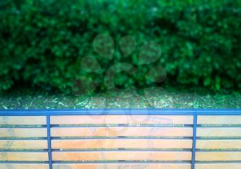 Park bench back with bokeh bushes background