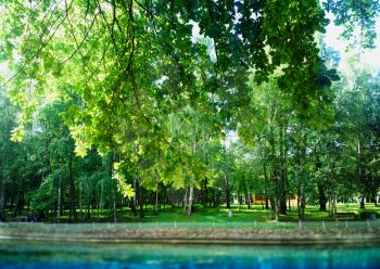 Summer park pond bokeh background