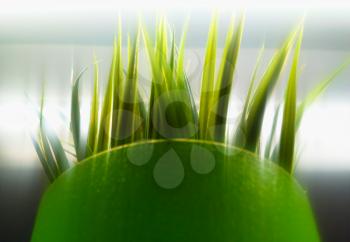 Green ecological offsprings object background