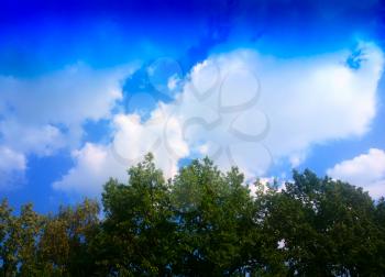 Blue clouds over the green forest landscape background