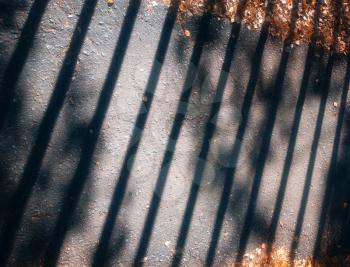 Fence shadow on autumn park path background
