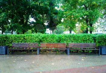 Three benches in city park background