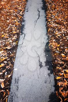 Old asphalt path during autumn period background