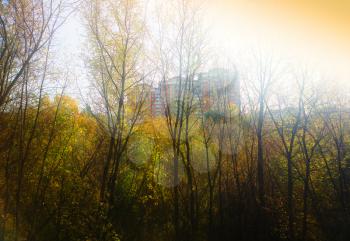 Three buildings covered with autumn trees background