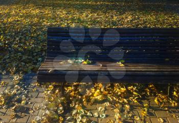 Horizontal park bench during autumn landscape background