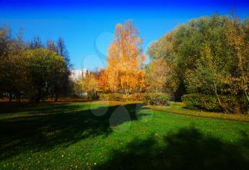 Autumn city park landscape background