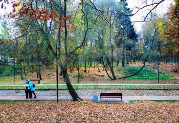 Autumn park landscape background