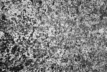 Horizontal black and white snow on the grass texture background