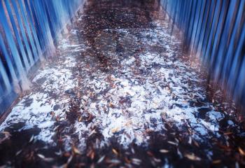 Snow with leaves on dramatic back bridge background
