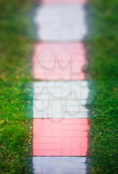 Vertical garden path from above bokeh background
