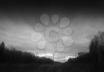 Horizontal black and white forest with power lines background