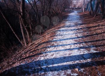 Diagonal winter path at park background