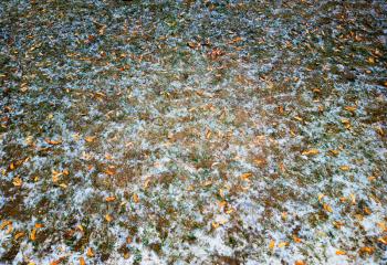 Autumn leaves in winter snow texture background