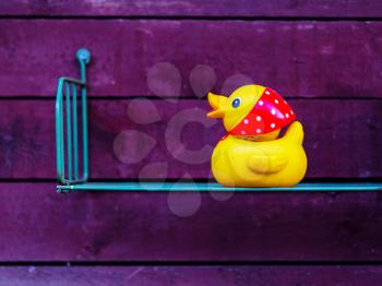 Yellow duck toy on dramatic shelf hd