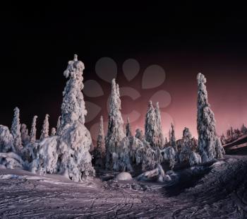 Horizontal vivid winter Finland landscape background backdrop