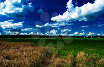 Ukrainian field landscape hd