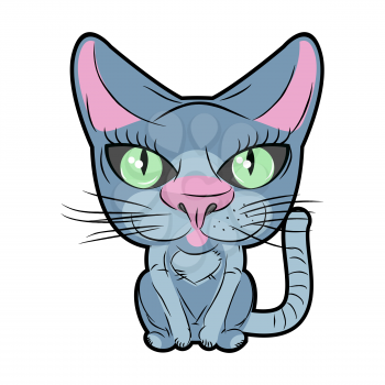 Cute cat with large eyes. Vector illustration pet.
