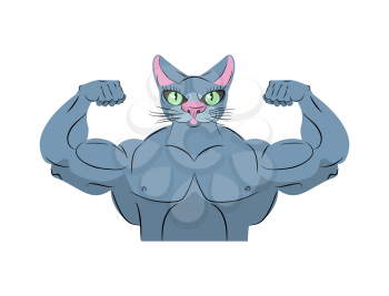 Strong cat. Power animal bodybuilder. Pet with big muscles. Emblem for sports teams.
