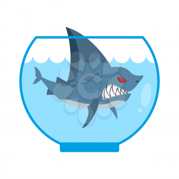 Shark in Aquarium. Angry Marine predator with large teeth. Home Marine pet. Tiny water animal.