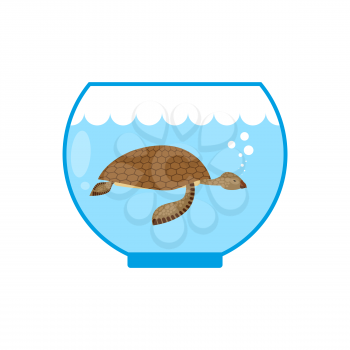 Sea turtle in an aquarium. Water animal Pet in captivity. 