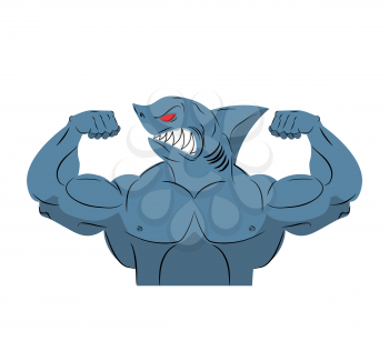Strong shark athlete. Fish bodybuilder with huge muscles. Sports team mascot. Vector illustration sea dweller
