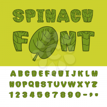 Spinach font. Useful Herbs alphabet. Green lettuce leaves alphabet. Sports, dietetic food typography. Grass letters