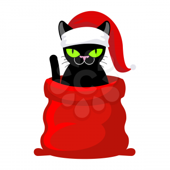 Christmas Cat. Pet in Santa Claus cap. Red bag with gifts. New Year illustration. Xmas template of cute cat