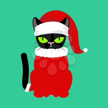 Santa Cat. Pet in Christmas hat. New Year illustration. Xmas template of cute cat