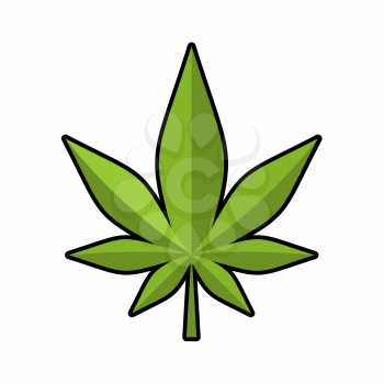 Leaf marijuana. Green cannabis. leaflet ganja. narcotic plants
