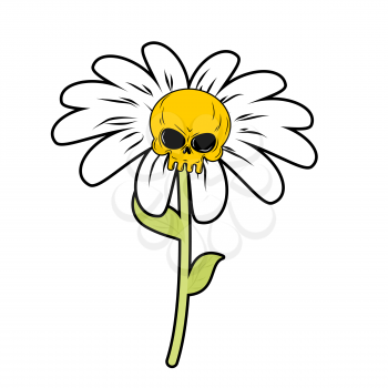 Flower of death. Chamomile with skull. Head skeleton with white petals. Fantastic plant.
