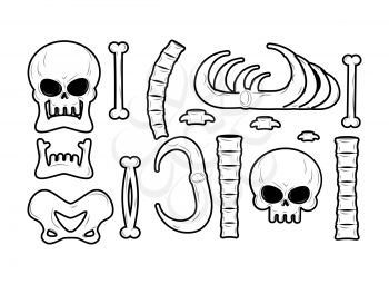 Bones set. Anatomy icons. Skull and spine. Jaw and pelvis. Ribs and tibia. Skeleton bone
