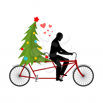 Christmas Lover. Lovers of bicycling. Man rolls christmas tree on tandem. Joint walk on street. Romantic New Year date

