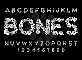 Bones font. Letters anatomy. Skeleton ABC. Skull and spine. Jaw and pelvis. Hell Scary alphabet
