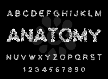 Anatomy font. Skeleton ABC. Letters Bones. Skull and spine. Jaw and pelvis. Hell Scary alphabet
