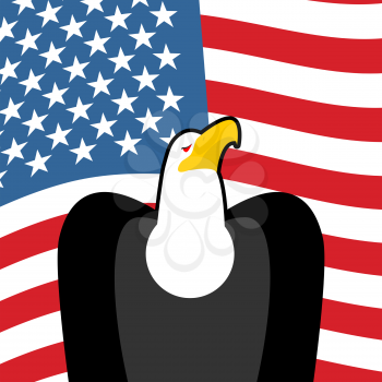 Bald Eagle USA national symbols. Large birds of prey and  flag of America. American patriotic sign
