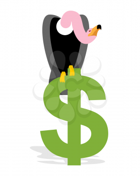 Vulture and Dollar. Condor, Griffon and sign of money. Scavenger birds of prey. Business illustration