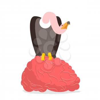 Vultures and brain. Griffon bite mind. Condor and entral nervous system. Griffon vulture eating. Scavenger birds of prey
