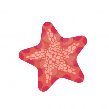 Starfish isolated. Sea animals on white background. aquatic mollusk star

