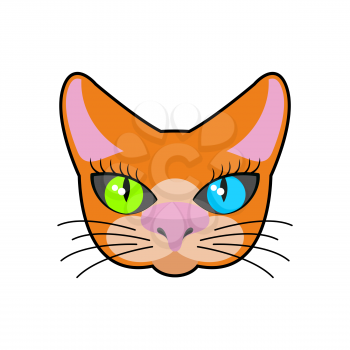 Red-headed cat face isolated. Pet on green background