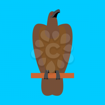 Hawk isolated. Golden eagle on blue background. Big strong bird
