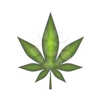 Cannabis leaf isolated. hemp on white background. Marijuana grass
