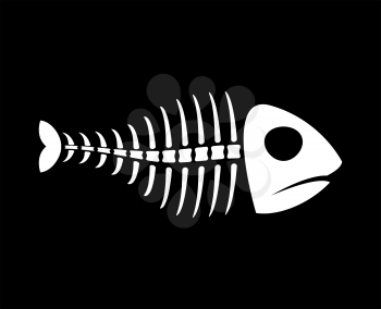 Fish bones isolated. fishy Skeleton on white background