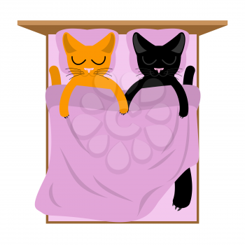 Cats Lovers in bed. Pets sleep. Romantic animal
