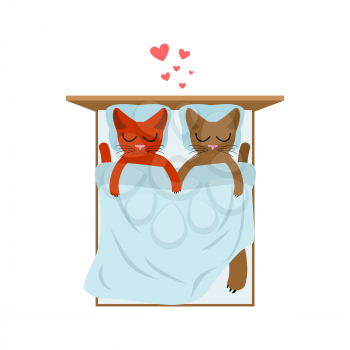 Cat lovers in bed. Lover in Bedroom. Pet Romantic date. Cats lifestyle
