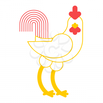 Rooster white. cock isolated. Farm bird on white background
