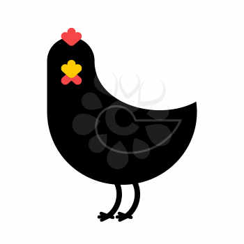 Black Chicken isolated. Unique farm bird on white background. Accessory for witch

