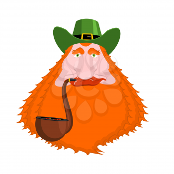 St. Patrick's Day Leprechaun with red beard and pipe. Green hat. Magic Dwarf in Ireland. national holiday March 17 . Traditional Irish Festival