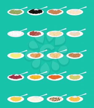 Porridge in plate and spoon set. Rice and lentils. Red beans and peas. Corn and barley gritz. Millet and cuscus. Oat and buckwheat. Bulgur and wheat. Healthy food for breakfast. Vector illustration
