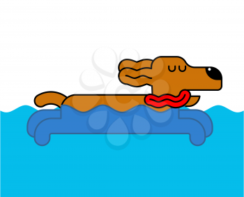 Dog swimming isolated. Home pet in water. Vector illustration
